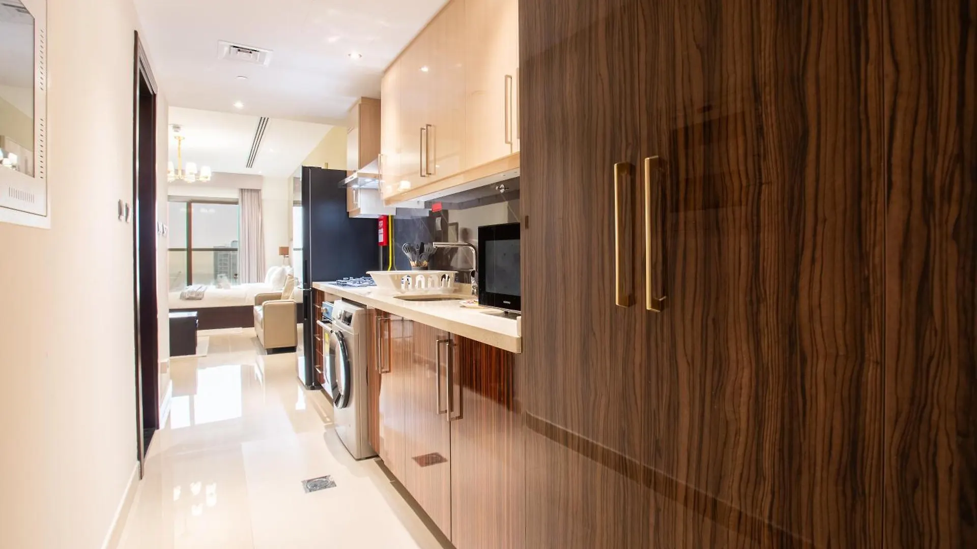 Modern Studio Elite Downtown Residence 1 Dubai Apartment
